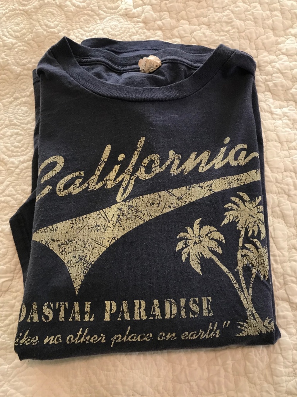 Delta Pro Weight 💯% cotton short sleeved crew neck blue palm tree tee (2XL)